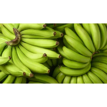 Natural Green Banana